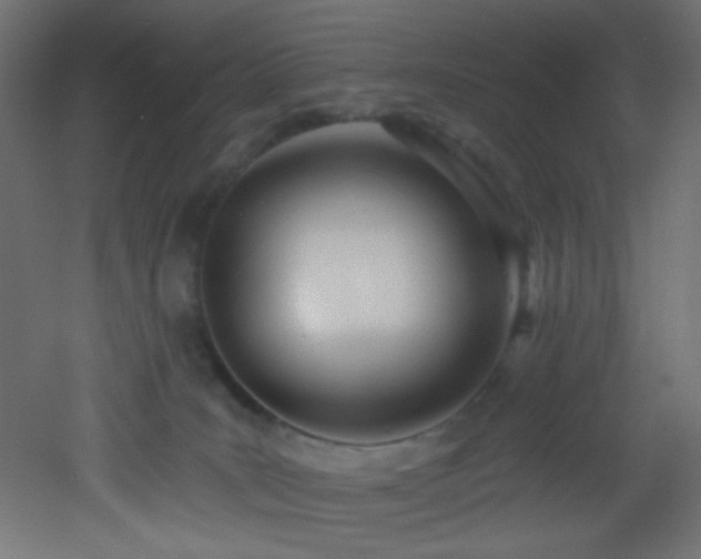 X0000053160035200507111519