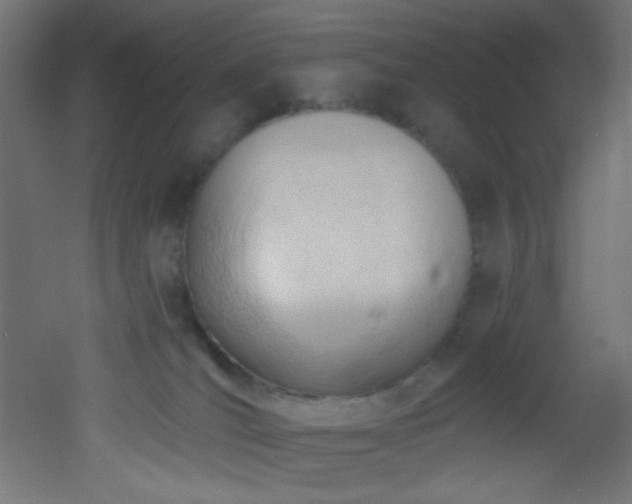 X0000053160036200507111519