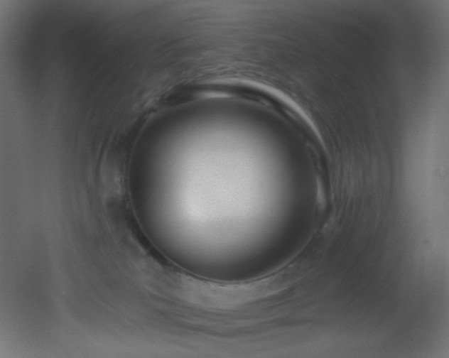 X0000053160039200507111519