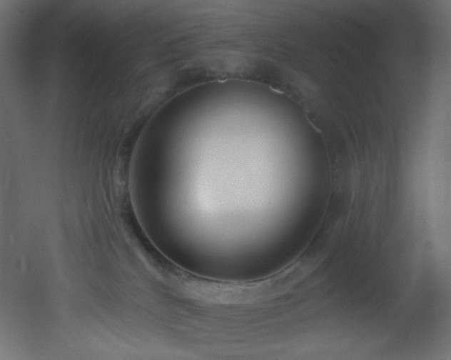 X0000053160040200507111519