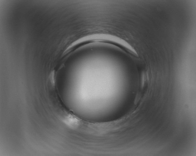 X0000053160041200507111519