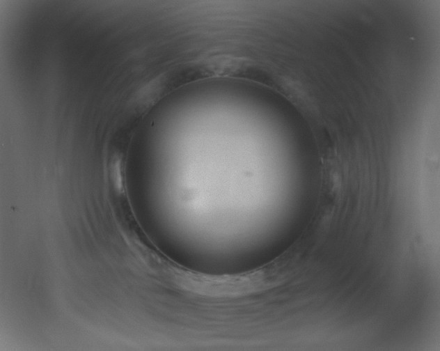 X0000053160042200507111519