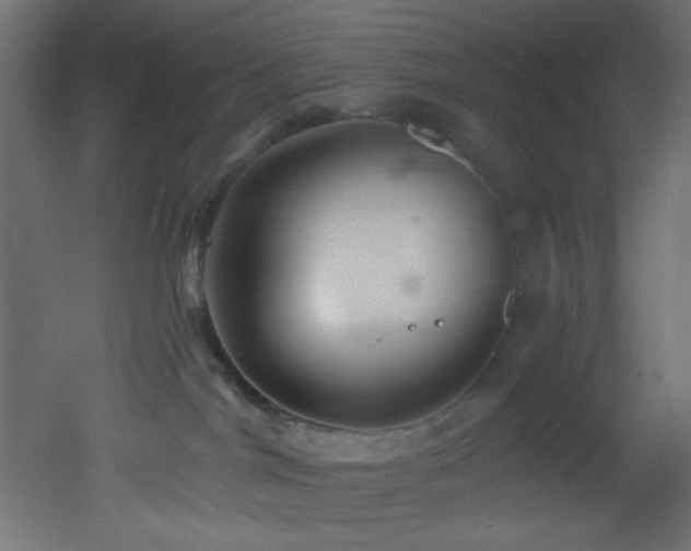 X0000053160044200507111519