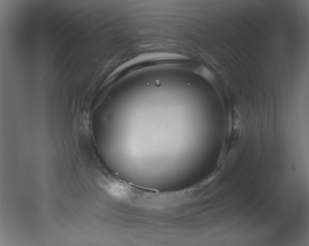 X0000053160045200507111519