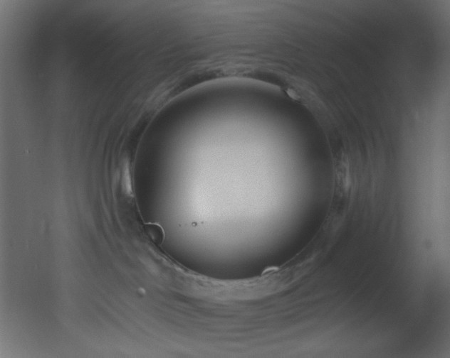 X0000053160046200507111519