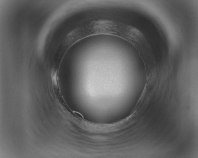 X0000053160047200507111519