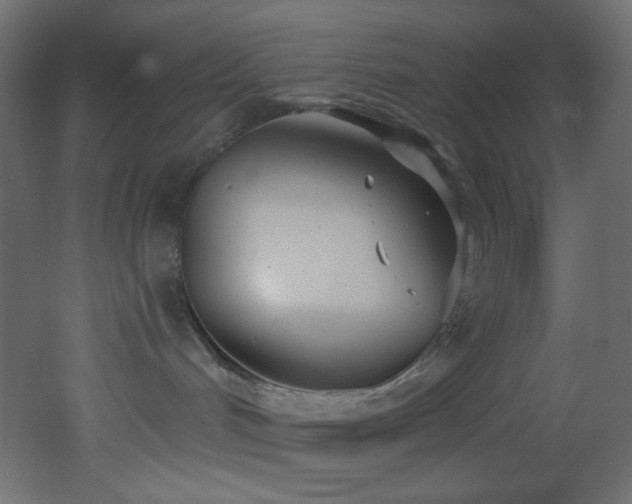 X0000053160048200507111519