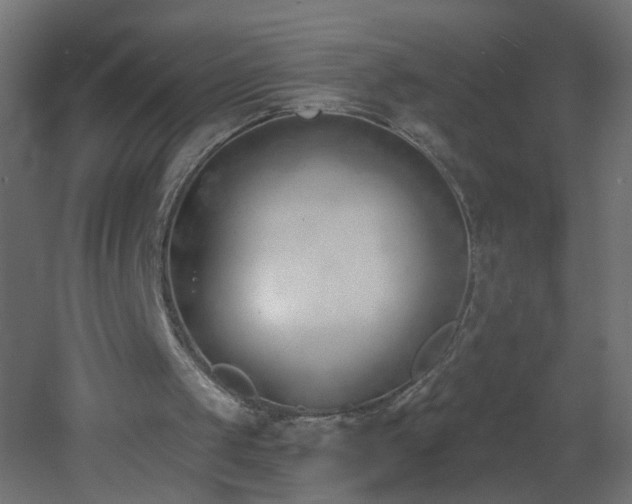 X0000053160049200507111518