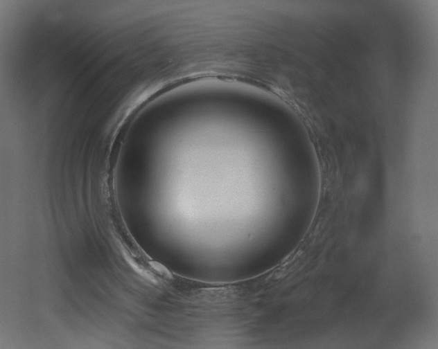 X0000053160050200507111518