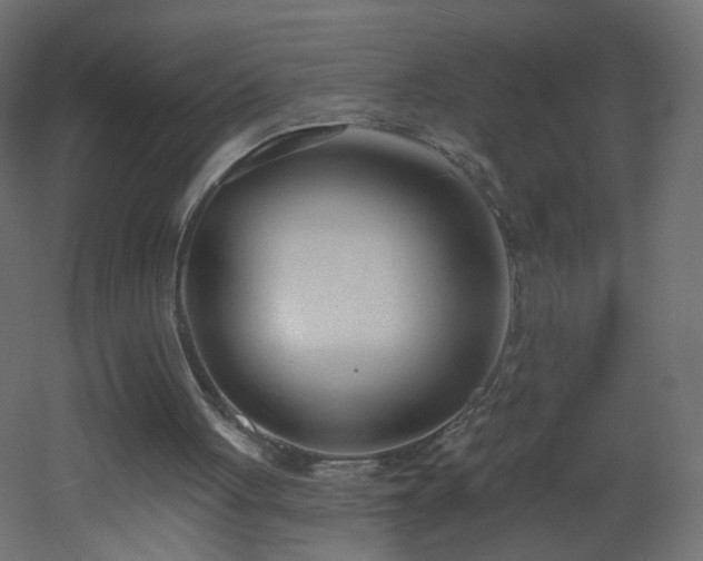 X0000053160051200507111518