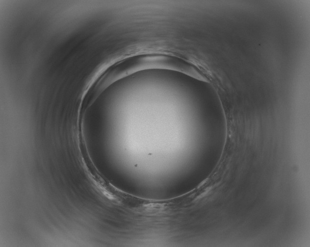 X0000053160052200507111518