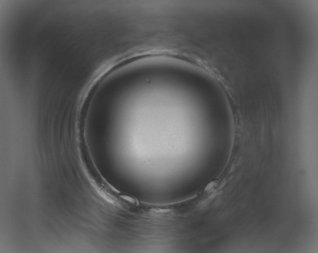 X0000053160055200507111518