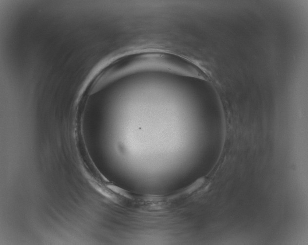 X0000053160056200507111518