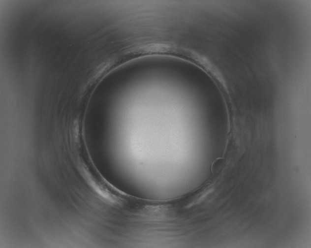 X0000053160057200507111518