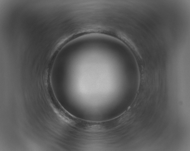 X0000053160058200507111518