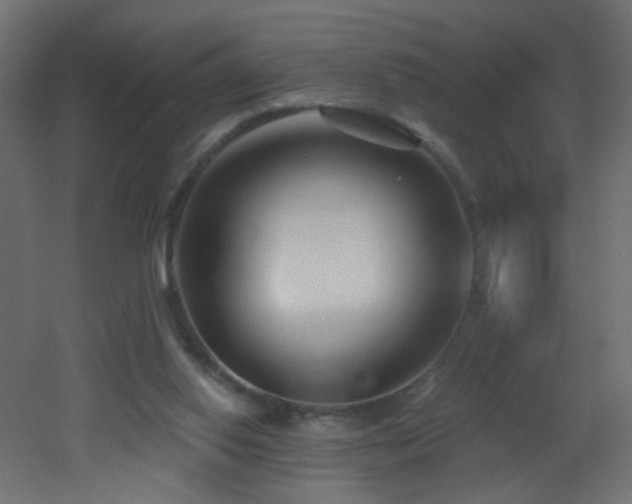 X0000053160062200507111518