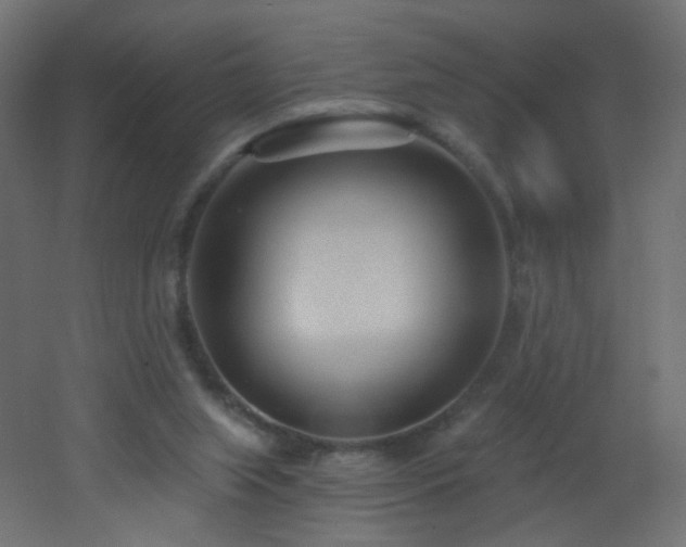 X0000053160063200507111518