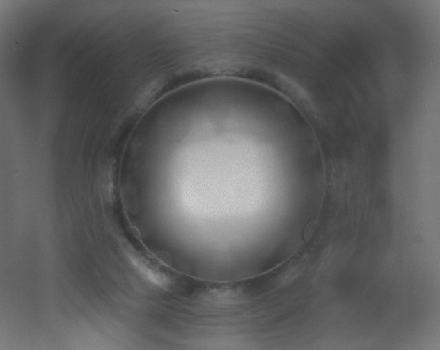 X0000053160065200507111518