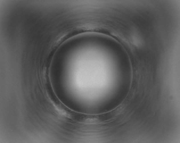 X0000053160066200507111518