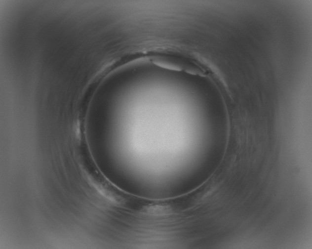 X0000053160067200507111518