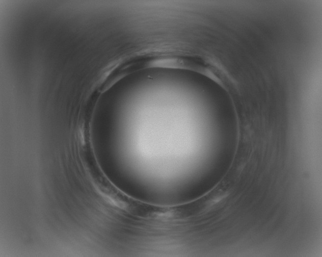 X0000053160068200507111518