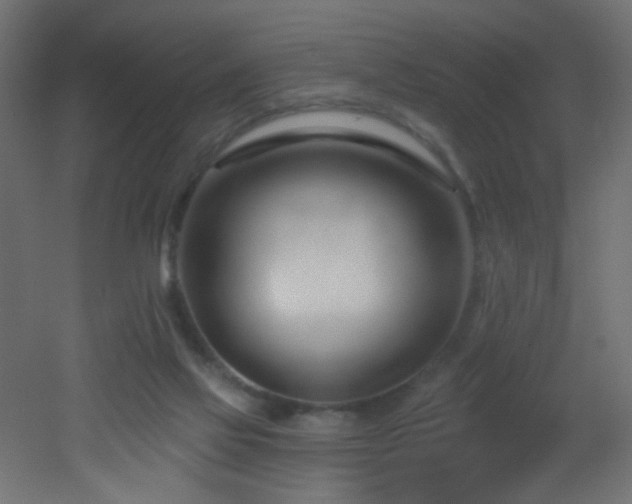 X0000053160069200507111518