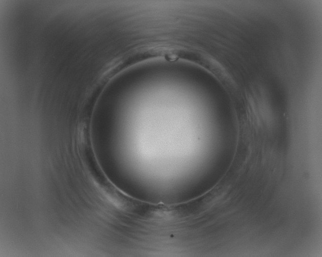 X0000053160071200507111518