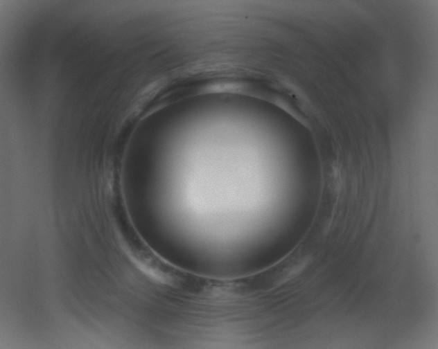 X0000053160072200507111518