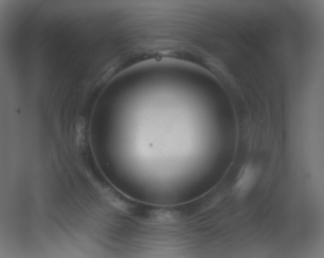 X0000053160073200507111518