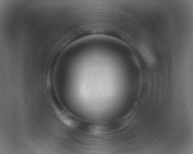 X0000053160074200507111518