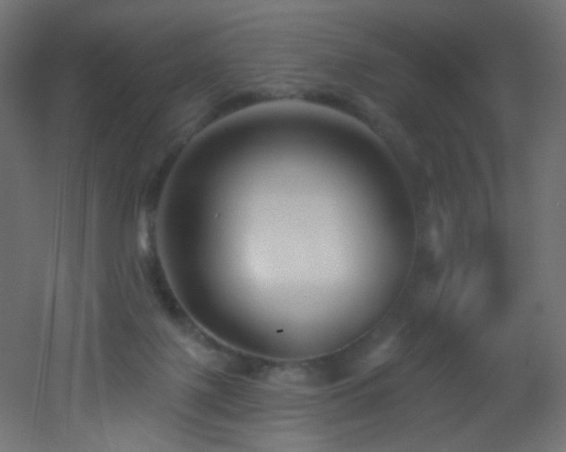X0000053160075200507111518
