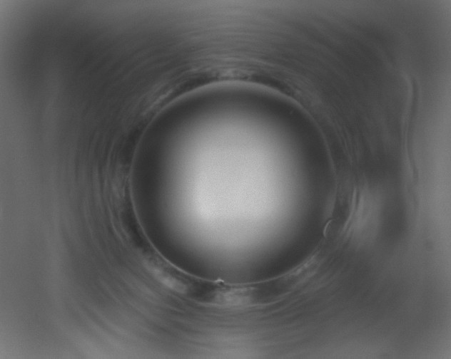 X0000053160078200507111518