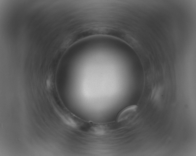 X0000053160079200507111518