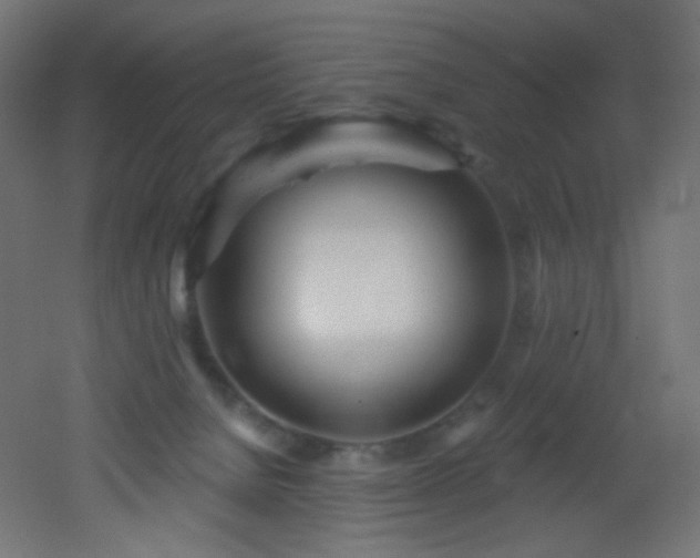 X0000053160080200507111518