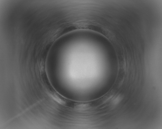 X0000053160081200507111518