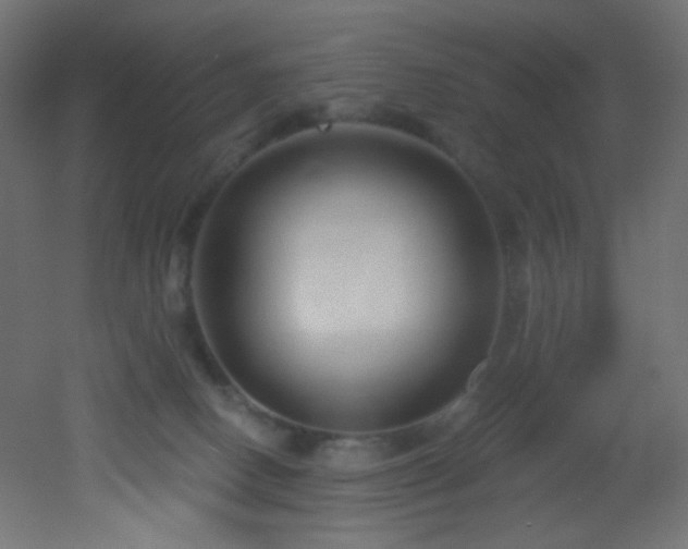 X0000053160082200507111518