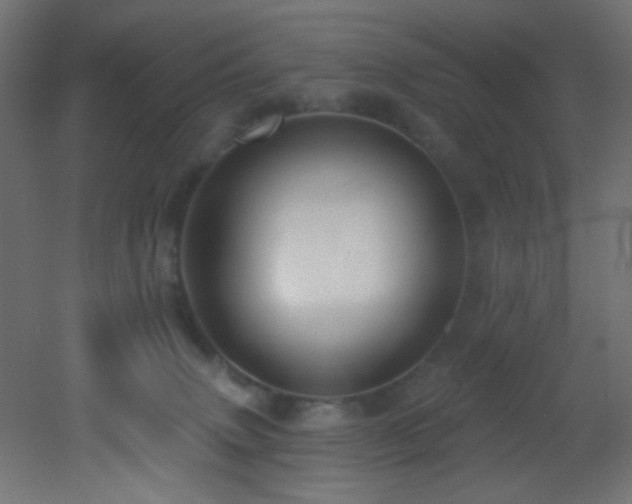 X0000053160083200507111518