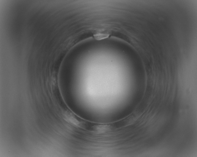 X0000053160085200507111518
