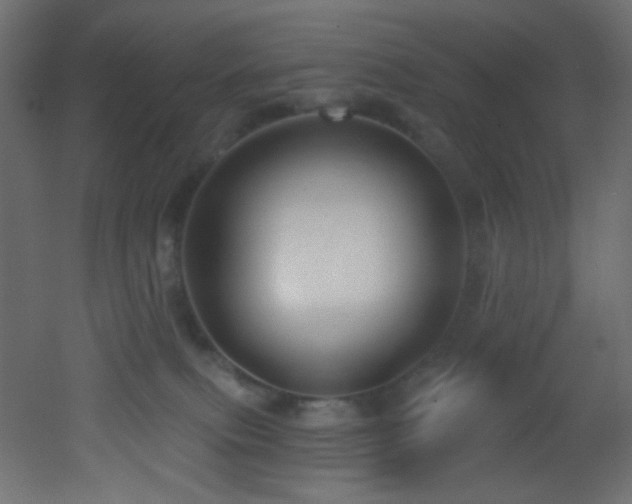 X0000053160087200507111519