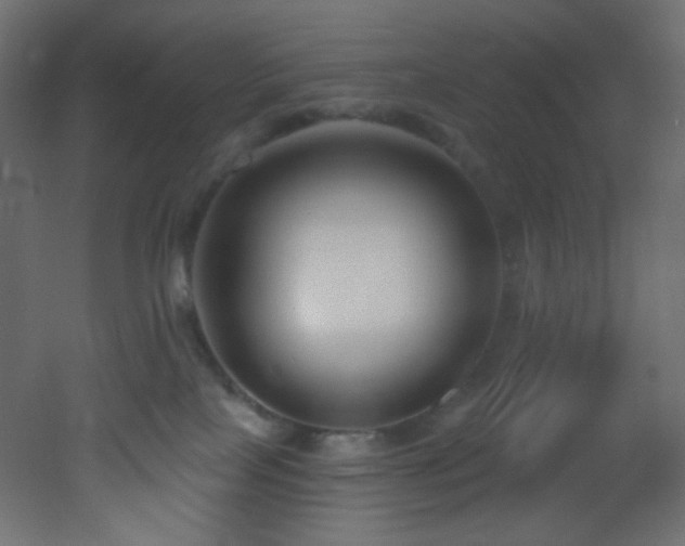 X0000053160089200507111519