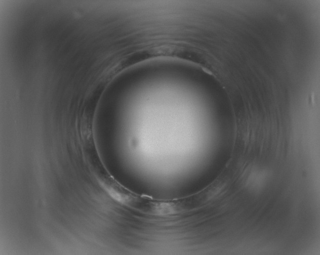 X0000053160091200507111519