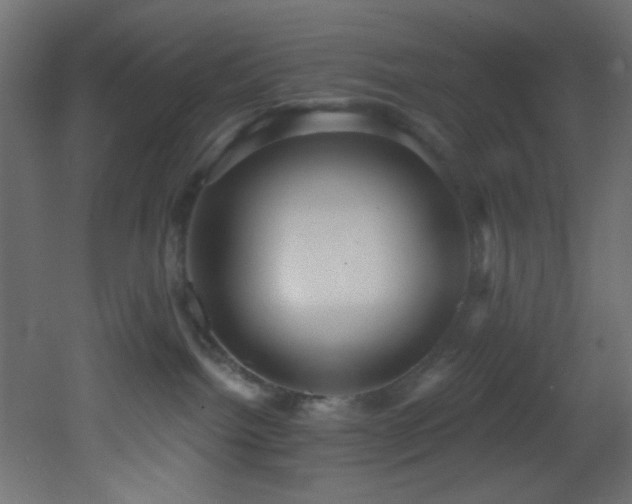X0000053160092200507111519