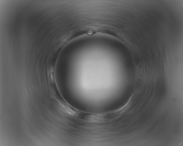 X0000053160094200507111519