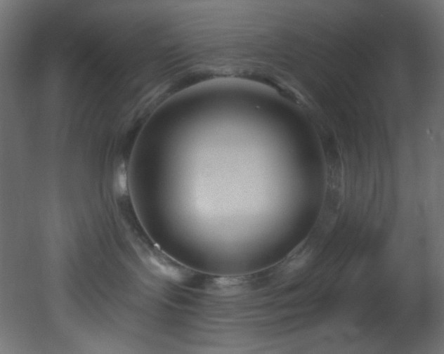 X0000053160095200507111519