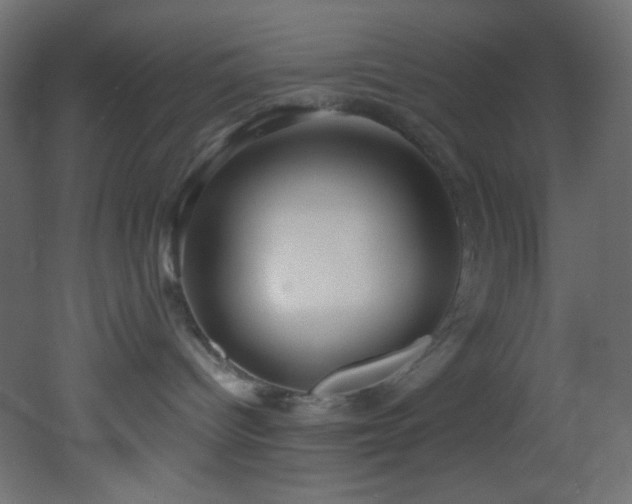 X0000053160096200507111519