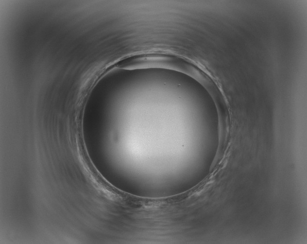 X0000053160097200507111518