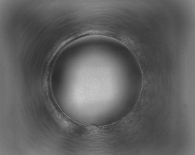 X0000053160098200507111518