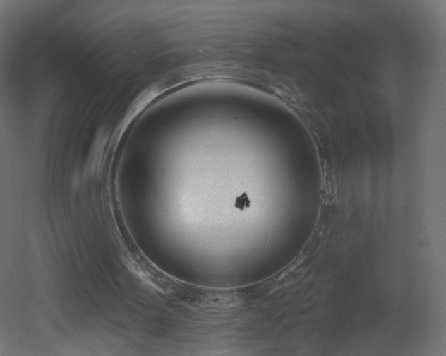 X0000053160099200507111518