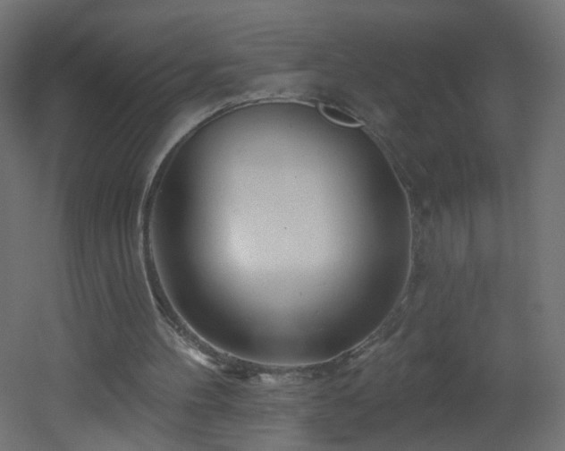X0000053160100200507111518