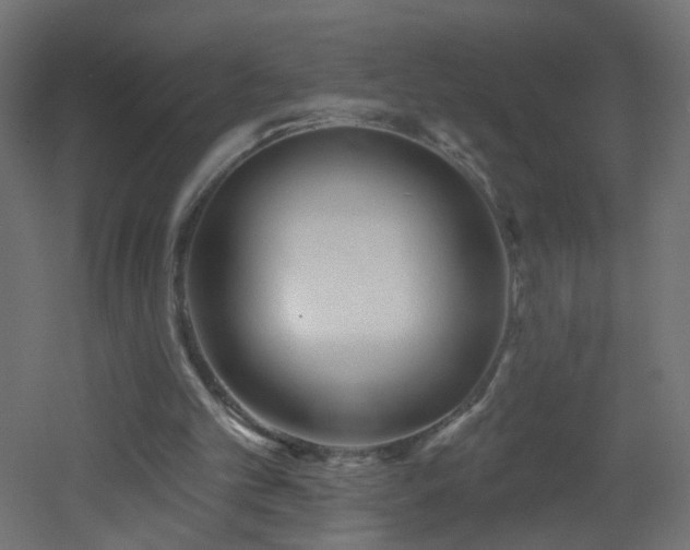 X0000053160101200507111518